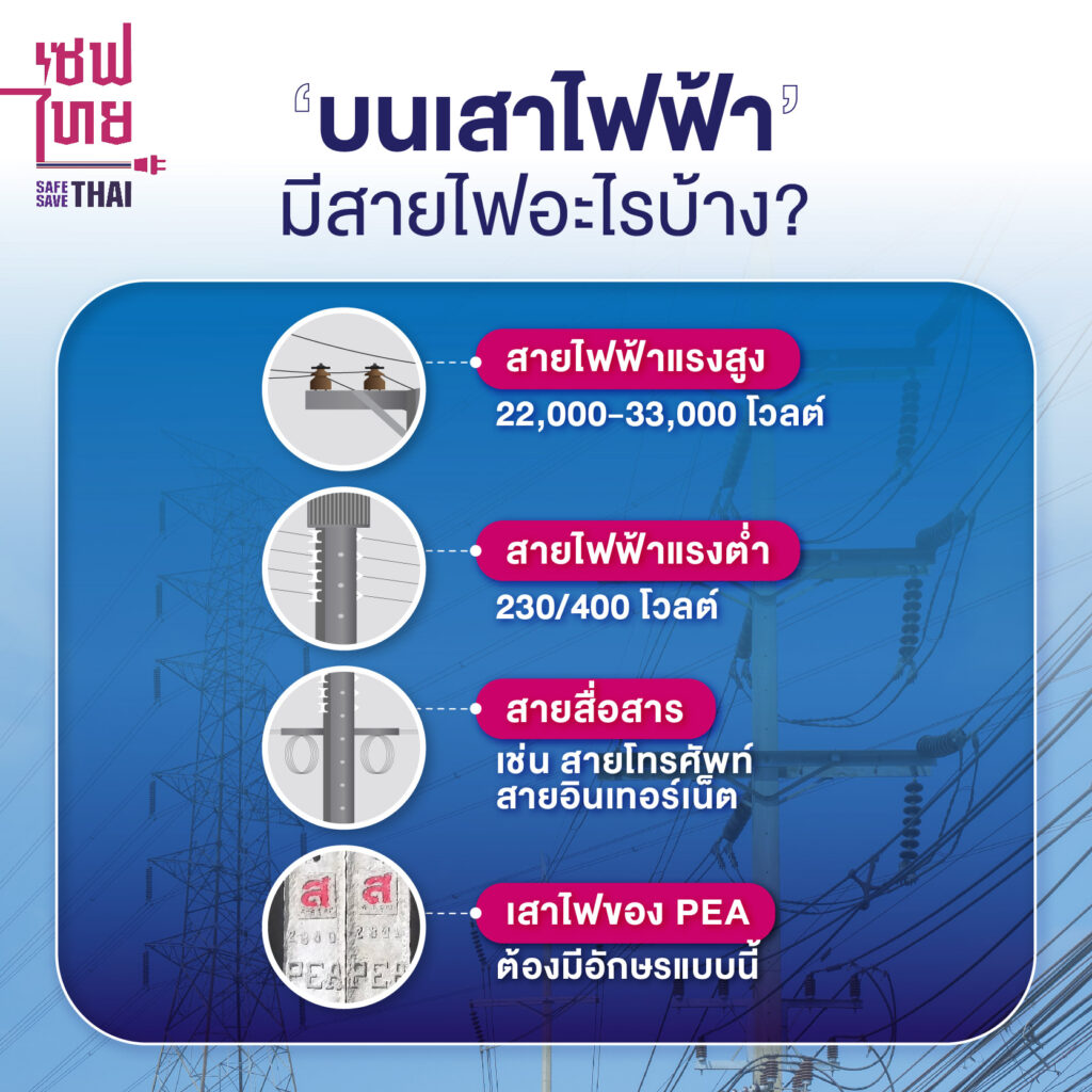 บนเสาไฟฟ้ามีสายไฟอะไรบ้าง ?