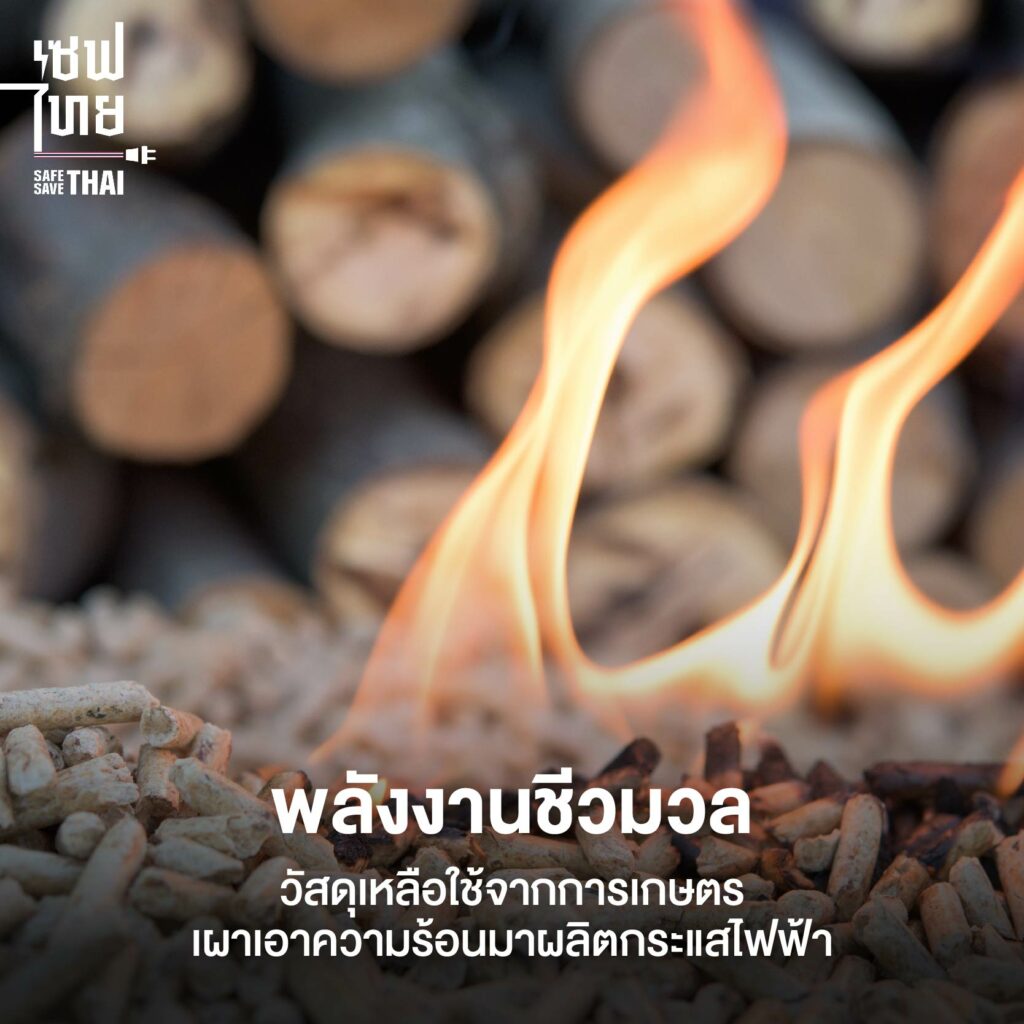 พลังงานชีวมวล (Biomass)