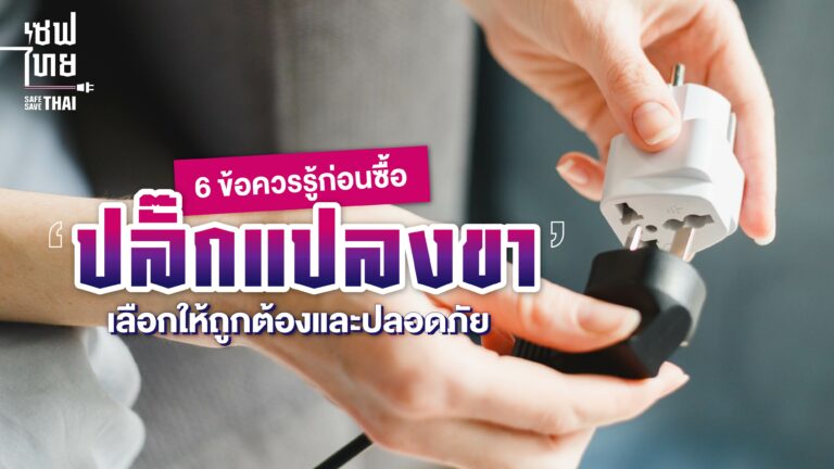 ปลั๊กแปลงขา